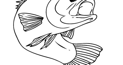 bass coloring pages learny kids