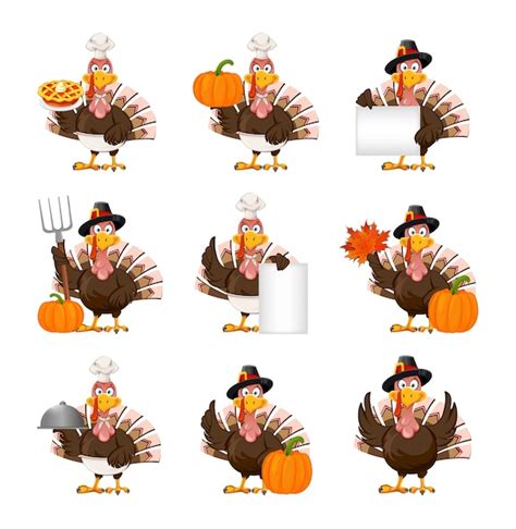 premium vector thanksgiving turkey bird set of nine poses