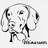 Weimaraner Weimar Stencil Braque Dog Vizsla Silhouette Painting Google Drawing Kaynak Stickers Result sketch template