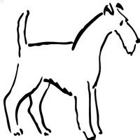 dog breed page    coloring pages surfnetkids