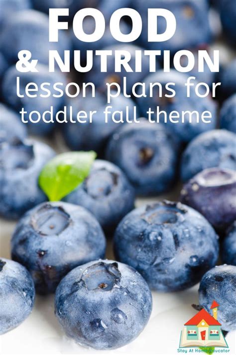 food  nutrition preschool lesson plans stay  home educator