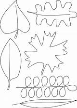 Coloring Leaves Pages Autumn Leaf Printable Blank Kids Openclipart Leafs Draw Getdrawings Getcolorings Colorings Drawing Log Into Large sketch template