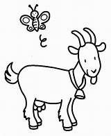 Coloring Pages Goats Goat Printable Color Previus Next Animales Kids Sheet Colorear Para sketch template