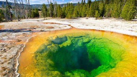 Yellowstone Hot Spring Turning Green Because Of Tourists Throwing In