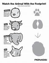 Colouring Footprints Colorings Coloriages sketch template
