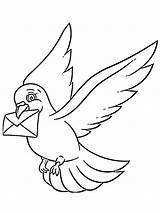 Postduif Paloma Mensajera Leukekleurplaten Brieftaube Vogels Dibujosparaimprimir Aves Raubvogel Besteausmalbilder één Ausmalbild Roofvogel sketch template