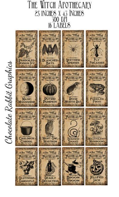 potion labels  printable halloween labels halloween potions