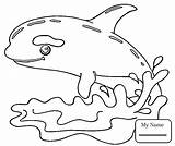 Coloring Whale Pages Orca Humpback Sperm Mammal Beluga Baby Getcolorings Color Printable Getdrawings Colorings sketch template