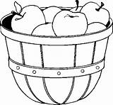 Apples Bushel Coloring Pages Fruits sketch template