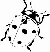Ladybug Ladybird Clip sketch template
