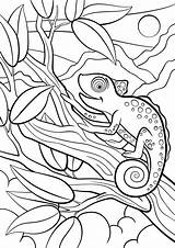 Chameleon Kameleon Dieren Colorare Animali Camaleonte Selvatici Schattige Kolorowanki Bestcoloringpagesforkids Vettoriale Carino Siede Chameleons Dzieci Dla Camouflage Wydrukowania Mayka sketch template