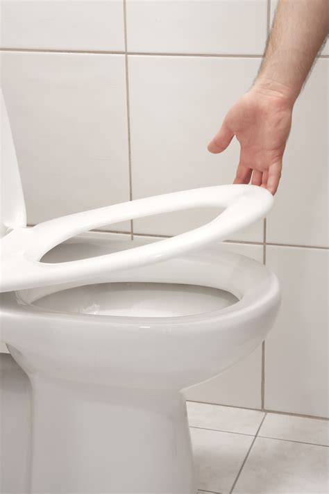 forgetting  put   toilet seat  lead   divorce