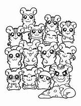 Hamtaro Hamsters Ausmalbild Colorear Colouring Coloriages Abrir Q1 Azcoloring sketch template