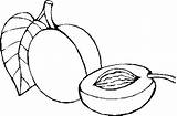 Stone Coloring Pages Fruits sketch template