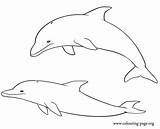 Dolphins Coloring Printable Dolphin Pages Colouring Drawing Playing Couple Drawings Draw Step Cliparts Printables Clipart Animal Easy Sea Clip Print sketch template