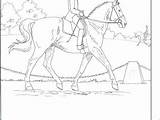 Breyer Horse Coloring Pages Getcolorings Getdrawings sketch template