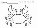 Crab Coloring Pages Horseshoe Getdrawings Getcolorings Hermit Books sketch template