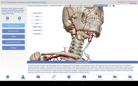 anatomy physiology apk   medical app  android