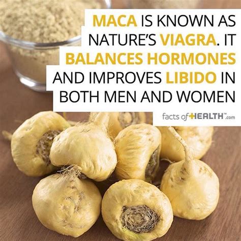 food facts on instagram “ the most powerful maca is from
