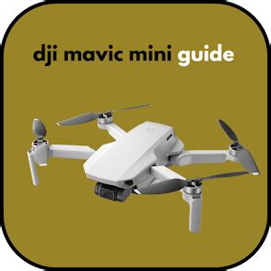 dji mavic mini guide latest version  android  apk