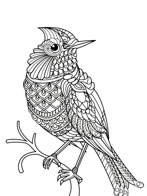 bird coloring book pages     bird coloring page