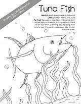 Tuna Coloring Fish 1275 36kb Getcolorings sketch template