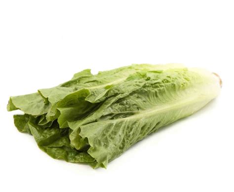 british  lettuce greengrocers choice