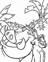 Hakuna Matata Coloring Pages Timon Getcolorings Pumbaa Color sketch template