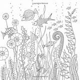 Basford Johanna Ausmalbilder Malvorlagen Malen Inky Zentangle Unterwasserwelt Algen Mandala Besuchen Erwachsene Rätsel Fremdsprachige Bücher Sheets Zeichnen Fisch Sketchite sketch template