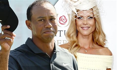 tiger woods and ex wife elin nordegren are friends now and get along really well these days