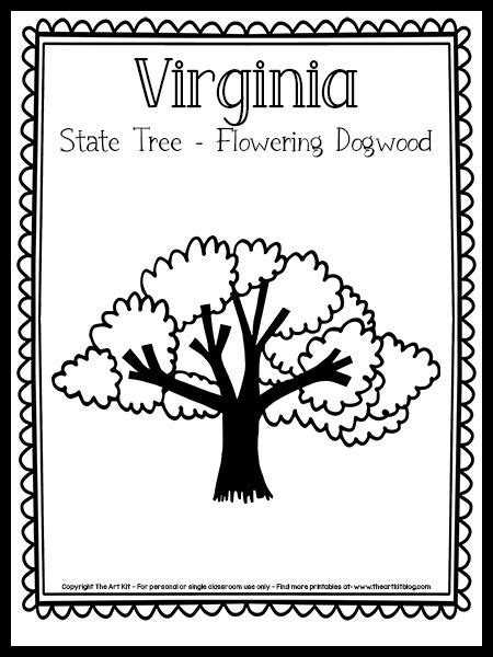 virginia state tree coloring page flowering dogwood  printable