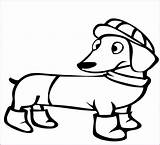 Dachshund Weiner Abetterhowellnj sketch template