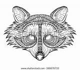 Adult Racoon Coloring Raccoon Pages Template Hand sketch template