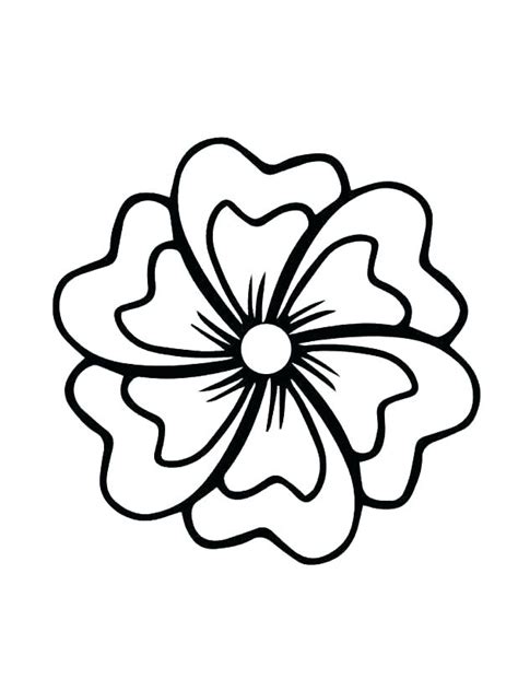 jasmine flower drawing    clipartmag