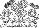 Blumenwiese Ausmalbilder Flori Colorat Colouring Planse Kids Desene Plante sketch template
