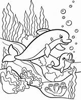 Coloring Dolphin Pages Dolphins Baby Sea Printable Water Children Print Animal Kids Color Ocean Animals Toddlers Two Mommy Topcoloringpages Kleurplaten sketch template