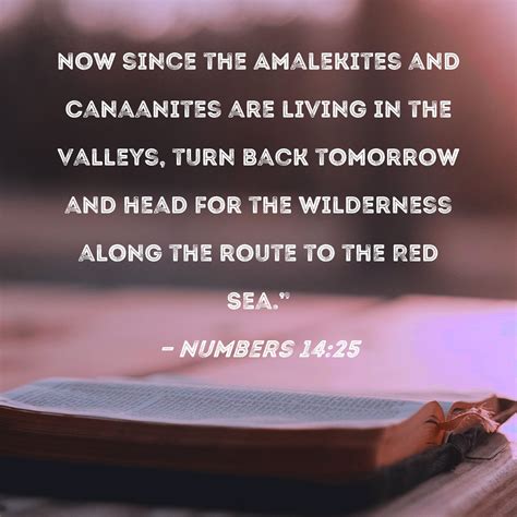 numbers     amalekites  canaanites  living