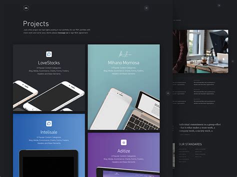 project page  nemanja nestorovic   tight  dribbble