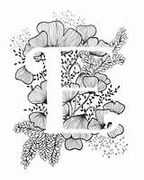 Letter Calligraphy Monogram Alphabet Ink Flowers Typography Print Etsy Drawing Lettering Letters Coloring Pages Illuminated Printable Flower Floral Hand Draw sketch template