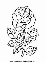 Rosen Ausmalbilder Ausdrucken Schablonen Rosenstrauß Kostenlosen Muttertag Rosenblüte Karten Weihnachtsbilder Punzieren sketch template