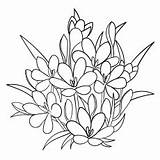 Blomster Vakre Fargelegging sketch template