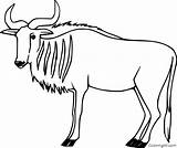 Wildebeest sketch template