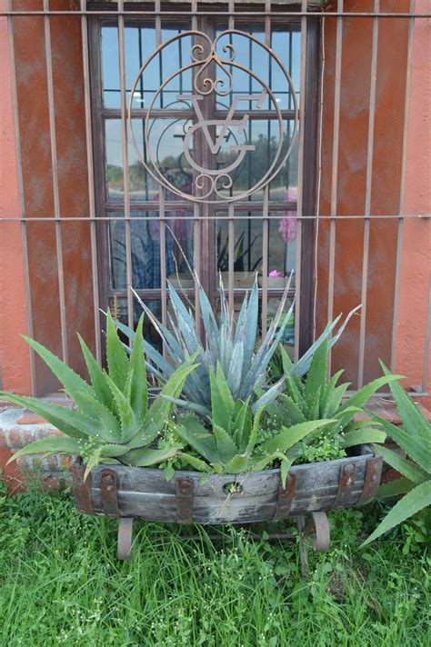 rancho de vicente fernandez guadalajara mexico plants memory pictures outdoor