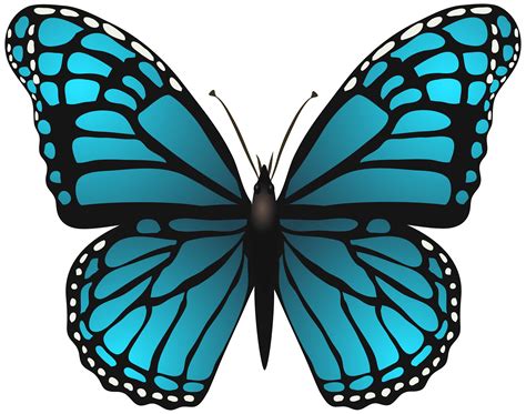 large butterfly clipart   cliparts  images