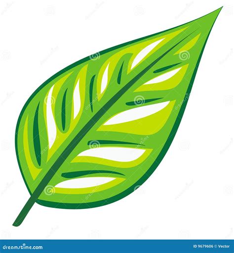 groen blad vector royalty vrije stock afbeelding beeld