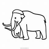 Mammut Mamut Dibujo Ultracoloringpages Stampare Outlines Mammoth Prehistoric sketch template