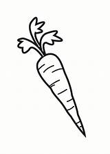 Carrot Coloring Large sketch template