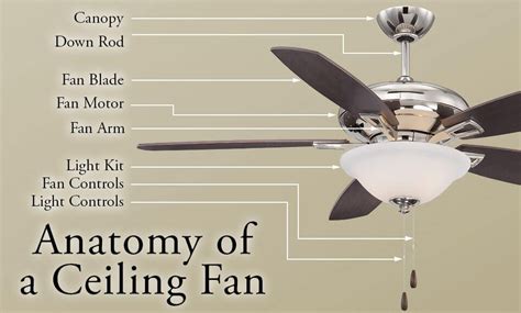 ceiling fan buying guide lightsonlinecom ceiling fan ceiling fan