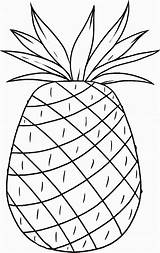 Luau Coloring Pages Printable Template Popular sketch template
