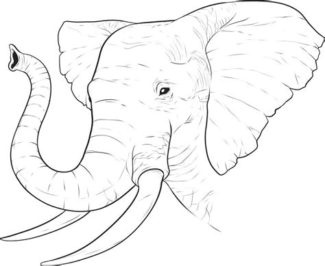 printable elephant images  printable